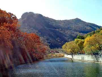 葫芦岛吃完打胎药吃宫血宁（药流后吃宫血宁和益母草哪个好）